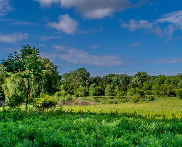 River Road Park Camp, Fish and Hike in Madison, Ohio. Lake Metroparks