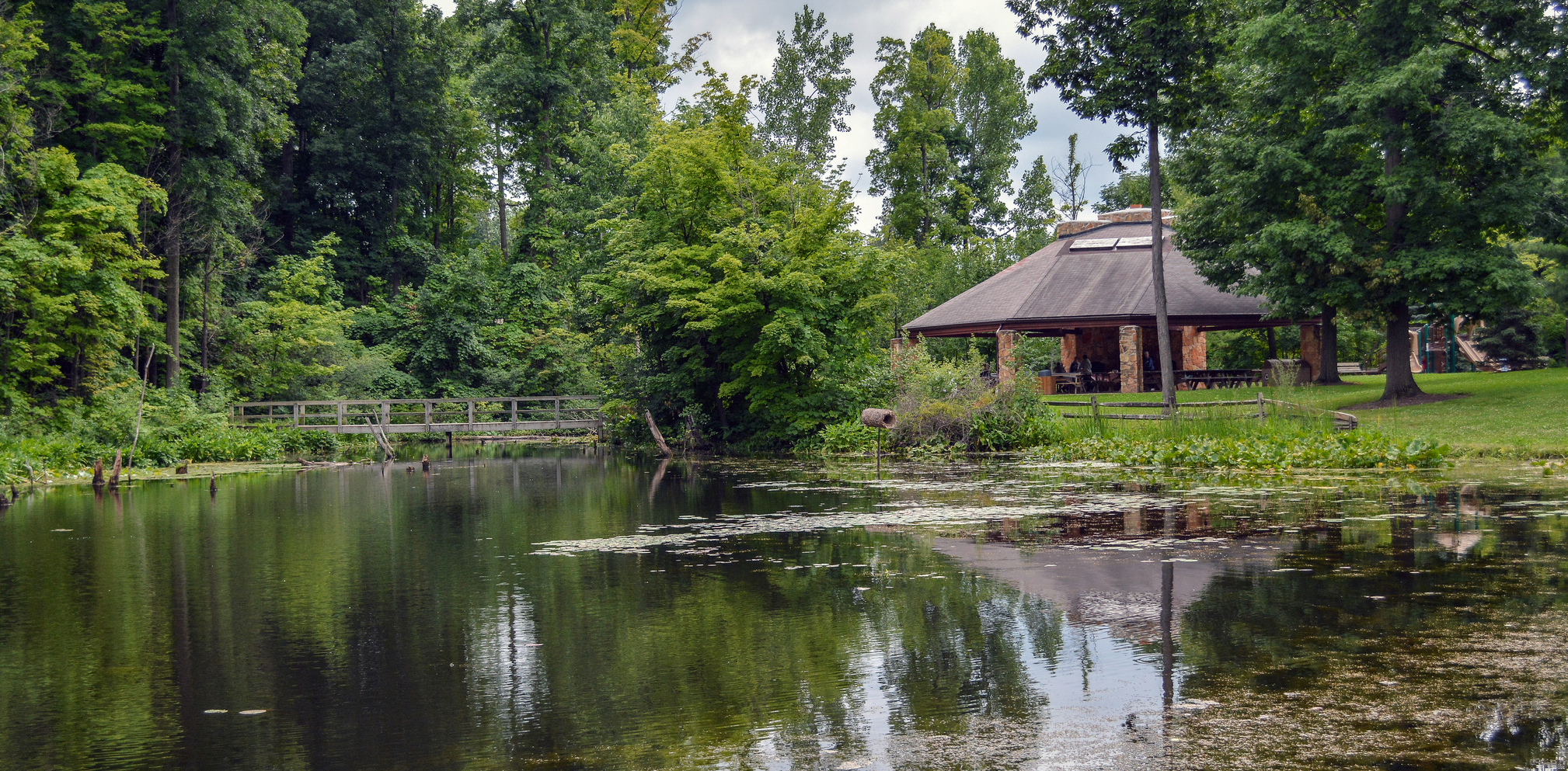 Concord Woods Nature Park | Lake Metroparks