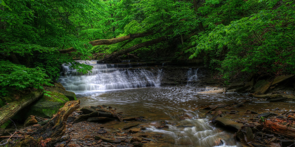 Penitentiary Glen Reservation Stoney Brook - waterfall - trees - Lake Metroparks - photo by Frank Szekely
