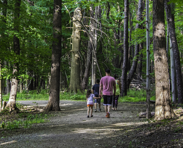 Gully Brook Park - Bike, Fish and Hike in Willoughby | Lake Metroparks