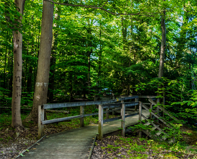 Hogback Ridge Park - biking, camping, fishing and trails, waterfall ...