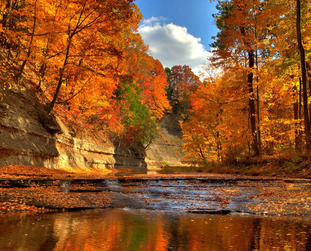 Hogback Ridge Park - biking, camping, fishing and trails, waterfall ...