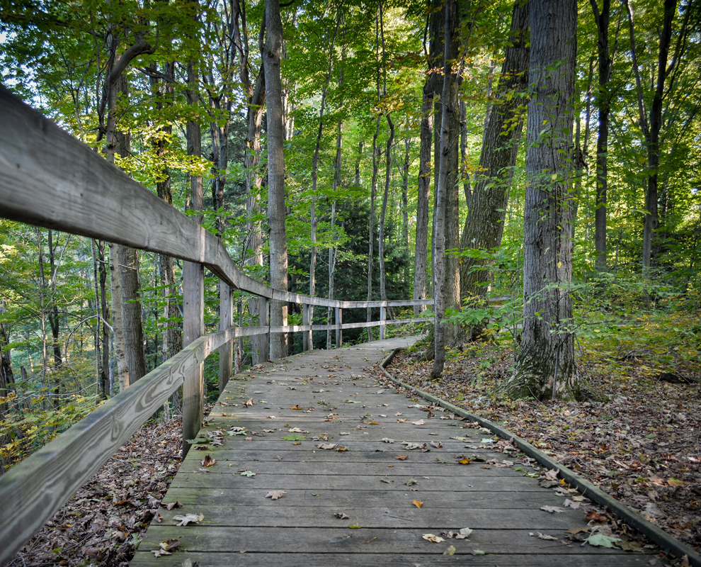 Hogback Ridge Park - biking, camping, fishing and trails, waterfall ...