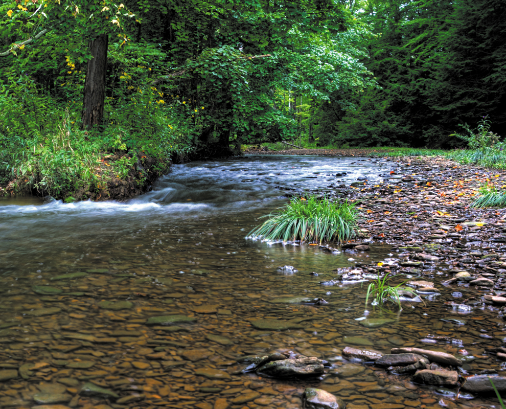 Hogback Ridge Park - biking, camping, fishing and trails, waterfall ...