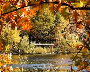 Favorite fall color hikes