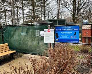 Kevin P. Clinton Wildlife Center Yard Closed Until Further Notice