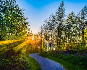 Lake Erie Bluffs | Lake Metroparks