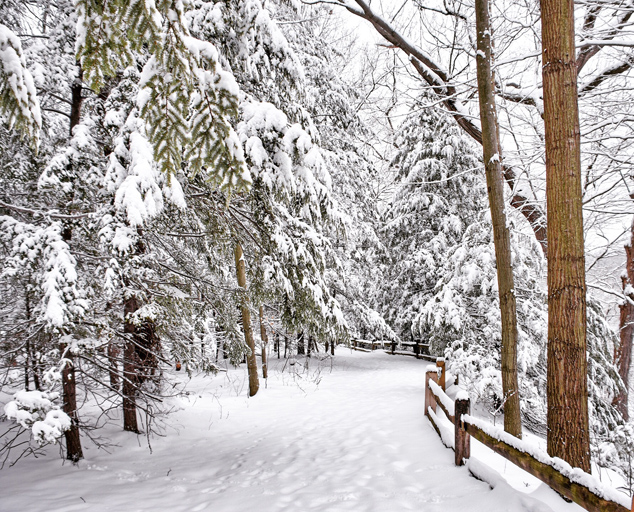 Riverview Park | Lake Metroparks